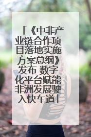 《中非产业链合作项目落地实施方案总纲》发布 数字化平台赋能非洲发展驶入快车道