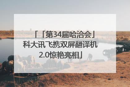「第34届哈洽会」科大讯飞携双屏翻译机2.0惊艳亮相