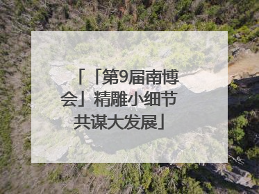「第9届南博会」精雕小细节共谋大发展