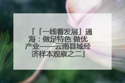 「一线看发展」通海：做足特色 做优产业——云南县域经济样本观察之二