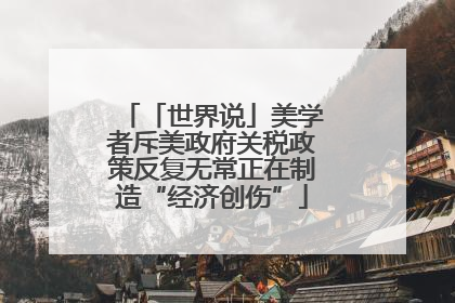 「世界说」美学者斥美政府关税政策反复无常正在制造“经济创伤”