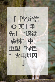 「坚定信心 实干争先」“钢铁森林”中 重塑“绿色”火电基因