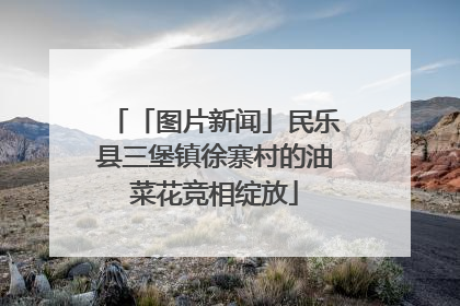 「图片新闻」民乐县三堡镇徐寨村的油菜花竞相绽放