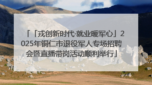 「戎创新时代·就业暖军心」2025年铜仁市退役军人专场招聘会暨直播带岗活动顺利举行