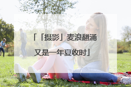 「摄影」麦浪翻涌 又是一年夏收时