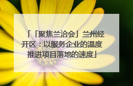 「聚焦兰洽会」兰州经开区：以服务企业的温度推进项目落地的速度