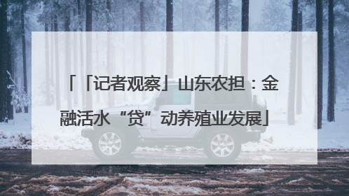 「记者观察」山东农担：金融活水“贷”动养殖业发展