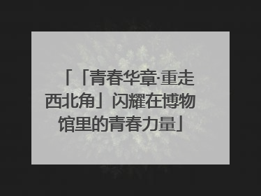 「青春华章·重走西北角」闪耀在博物馆里的青春力量