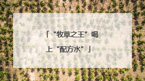 “牧草之王”喝上“配方水”
