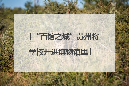 “百馆之城”苏州将学校开进博物馆里