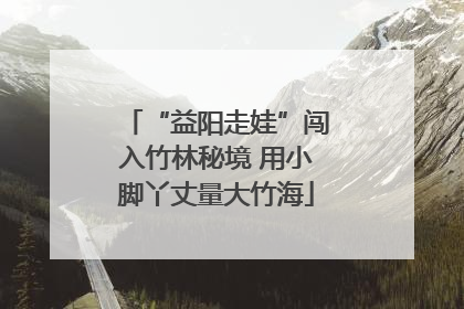 “益阳走娃”闯入竹林秘境 用小脚丫丈量大竹海