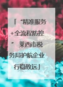 “精准服务+全流程防控” 莱西市税务局护航企业行稳致远