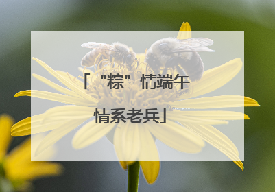 “粽”情端午 情系老兵