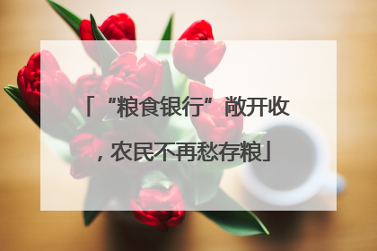 “粮食银行”敞开收，农民不再愁存粮