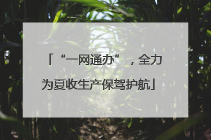 “一网通办”，全力为夏收生产保驾护航