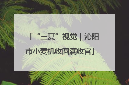 “三夏”视觉｜沁阳市小麦机收圆满收官