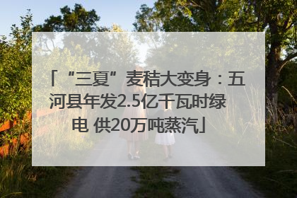 “三夏”麦秸大变身：五河县年发2.5亿千瓦时绿电 供20万吨蒸汽