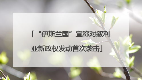 “伊斯兰国”宣称对叙利亚新政权发动首次袭击