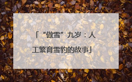 “傲雪”九岁：人工繁育雪豹的故事