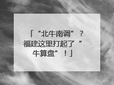 “北牛南调”？福建这里打起了“牛算盘”！