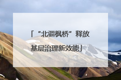 “北疆枫桥”释放基层治理新效能