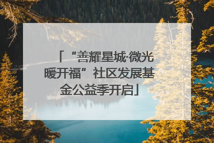 “善耀星城·微光暖开福”社区发展基金公益季开启