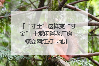 “寸土”这样变“寸金” 十堰闲置老厂房蝶变网红打卡地