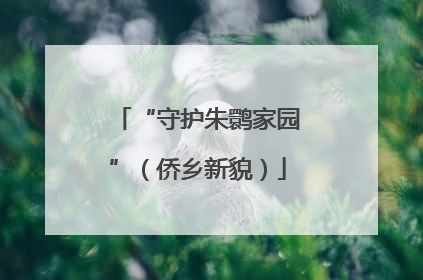 “守护朱鹮家园”（侨乡新貌）