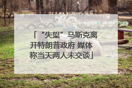 “失望”马斯克离开特朗普政府 媒体称当天两人未交谈