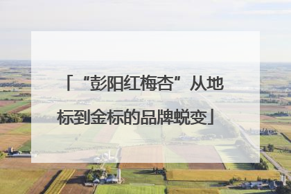 “彭阳红梅杏”从地标到金标的品牌蜕变