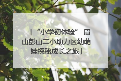 “小学初体验” 眉山彭山二小助力区幼萌娃探秘成长之旅