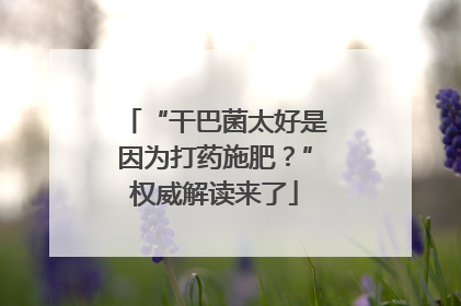 “干巴菌太好是因为打药施肥?”权威解读来了