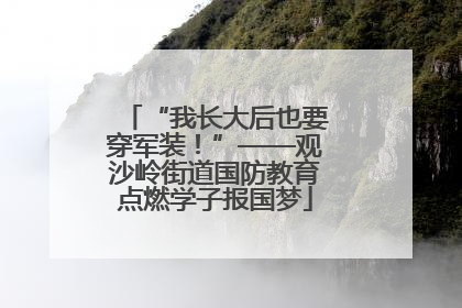 “我长大后也要穿军装！”——观沙岭街道国防教育点燃学子报国梦