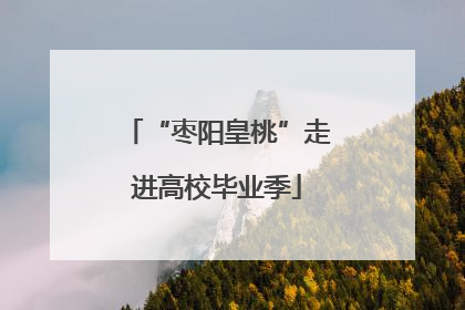 “枣阳皇桃”走进高校毕业季