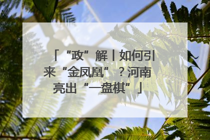 “政”解丨如何引来“金凤凰”？河南亮出“一盘棋”