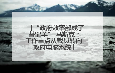 “政府效率部成了替罪羊” 马斯克：工作重点从裁员转向政府电脑系统