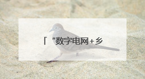 “数字电网+乡村振兴” 临汾供电智慧配电网赋能山区民生升级