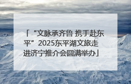 “文脉承齐鲁 携手赴东平”2025东平湖文旅走进济宁推介会圆满举办