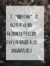 “椰号杯”2025不止骑·环溧阳1号公路自行车骑游大会圆满结束