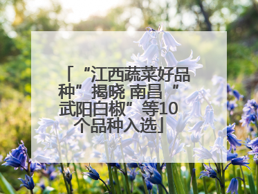 “江西蔬菜好品种”揭晓 南昌“武阳白椒”等10个品种入选