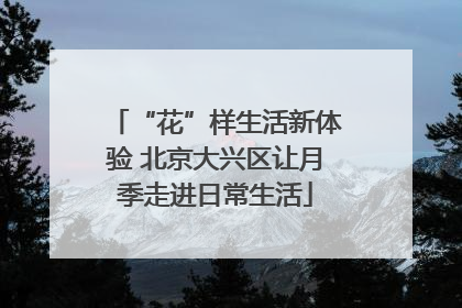 “花”样生活新体验 北京大兴区让月季走进日常生活