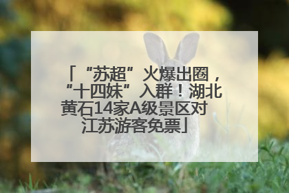 “苏超”火爆出圈，“十四妹”入群！湖北黄石14家A级景区对江苏游客免票