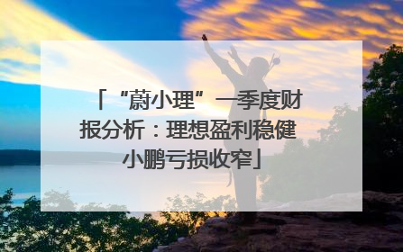 “蔚小理”一季度财报分析：理想盈利稳健 小鹏亏损收窄