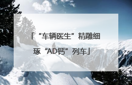“车辆医生”精雕细琢“AD钙”列车