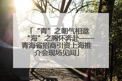 “青”之朝气相邀 “海”之胸怀奔赴——青海省招商引资上海推介会现场见闻