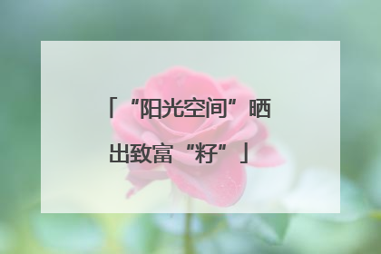 “阳光空间”晒出致富“籽”