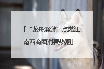 “龙舟溪游”点燃江南西商圈消费热潮