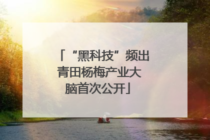 “黑科技”频出 青田杨梅产业大脑首次公开