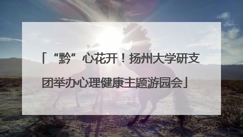 “黔”心花开！扬州大学研支团举办心理健康主题游园会
