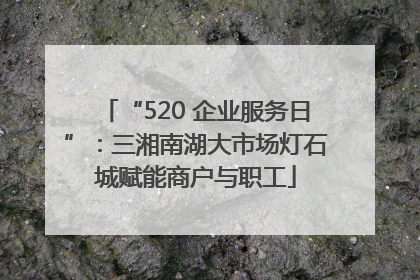 “520 企业服务日”：三湘南湖大市场灯石城赋能商户与职工
